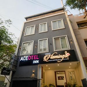 Aceotel Inn Flamingo